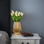 Dorothy Apartment *