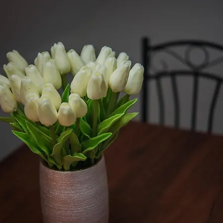 Διαμέρισμα Dorothy