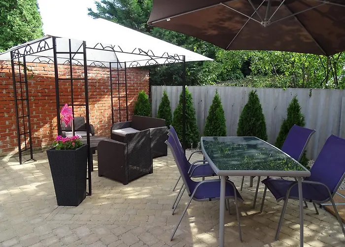 Dorothy שיופוק