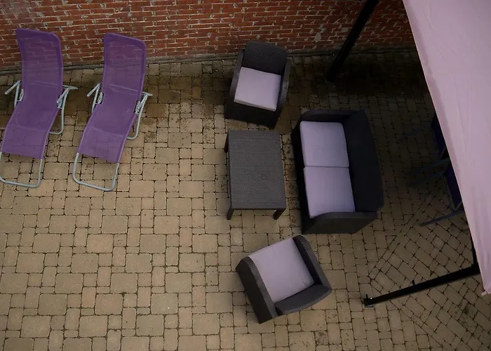 Dorothy שיופוק